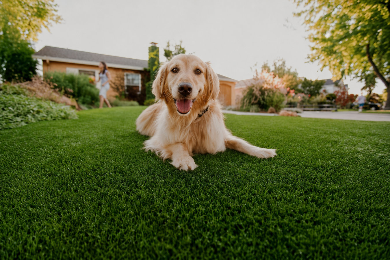 Artificial Turf Installer in Richmond, CA