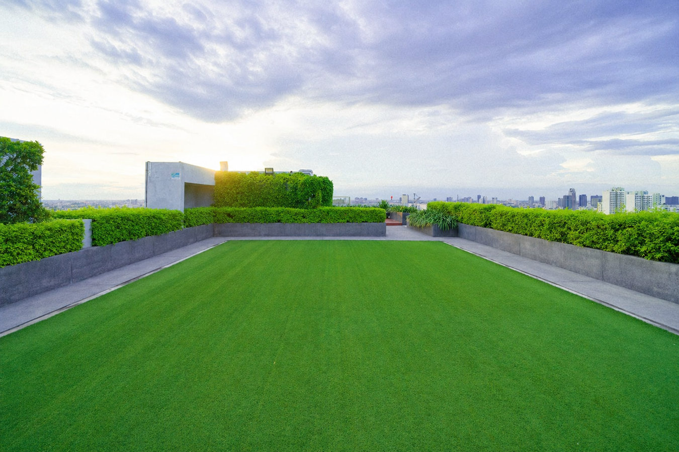 Turf for rooftop gardens